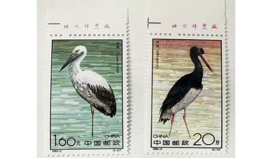 1992-2  ϳ