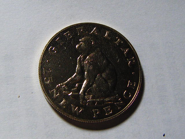 直布罗陀1971年25便士大银币猴子(大图展示)