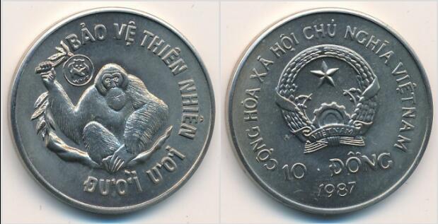 越南1987年10dong硬币 大猩猩(大图展示)
