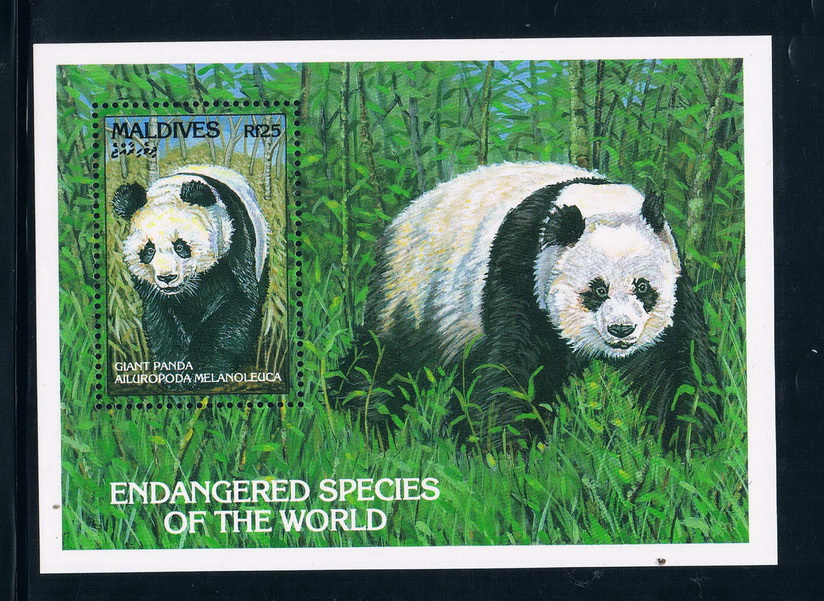 马尔代夫1993中国珍稀动物大熊猫全新外国邮票(大图展示)