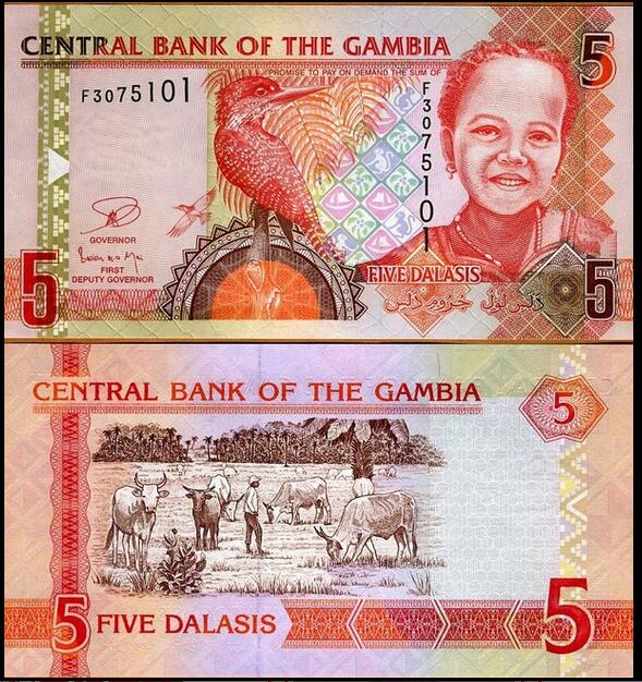 冈比亚5达拉西 2013年版 中邮网[集邮\/钱币\/邮