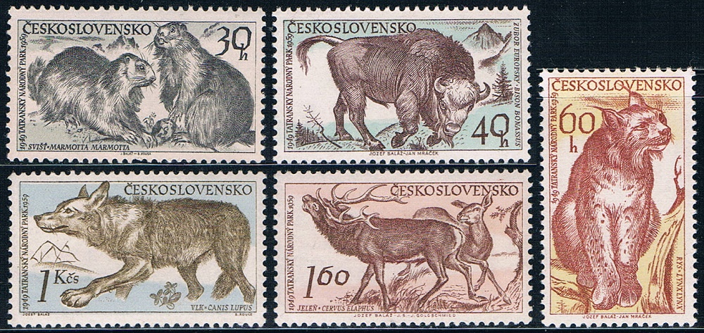 捷克斯洛伐克1959塔特拉山国家公园动物全新(大图展示)