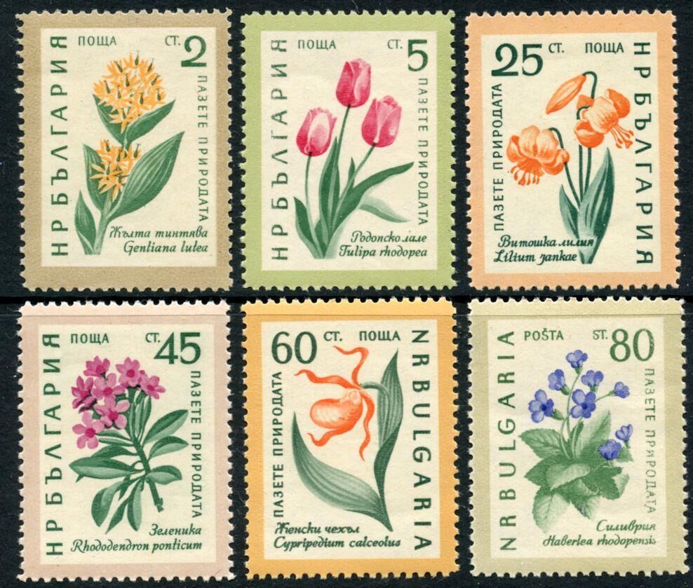 保加利亚:1960,植物花卉,外国邮票6全新(大图展示)