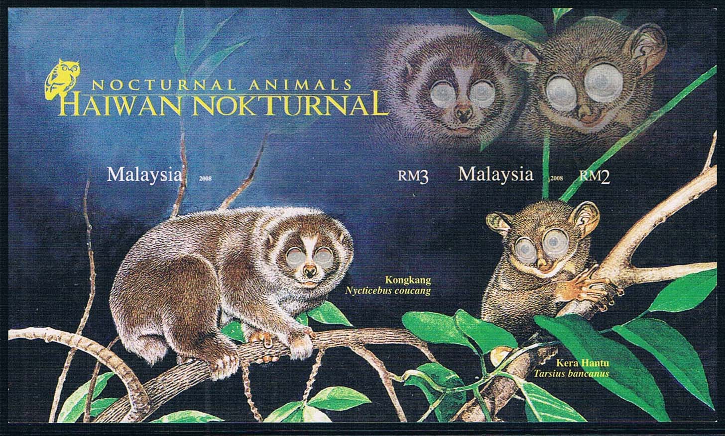 马来西亚2008夜行动物系列蜂猴无齿(大图展示)