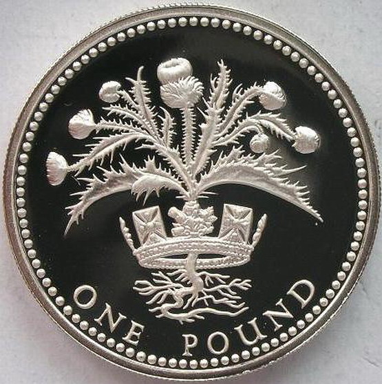 英国1984年苏格兰蓟1镑精制银币(大图展示)