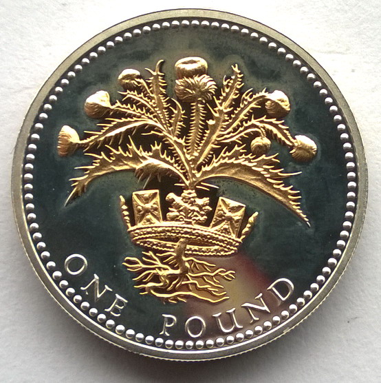 英国2008年苏格兰蓟1镑24k镀金精制银币(大图展示)