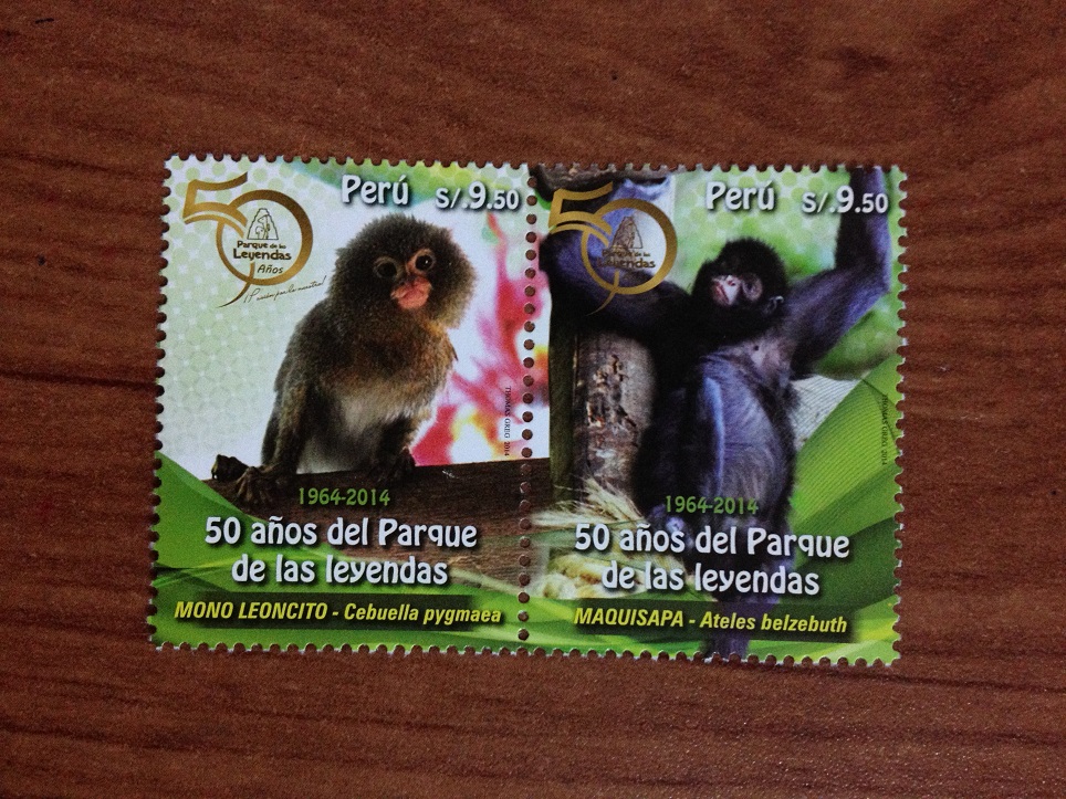 秘鲁2014年列根达斯国家公园50周年倭狨,蜘蛛