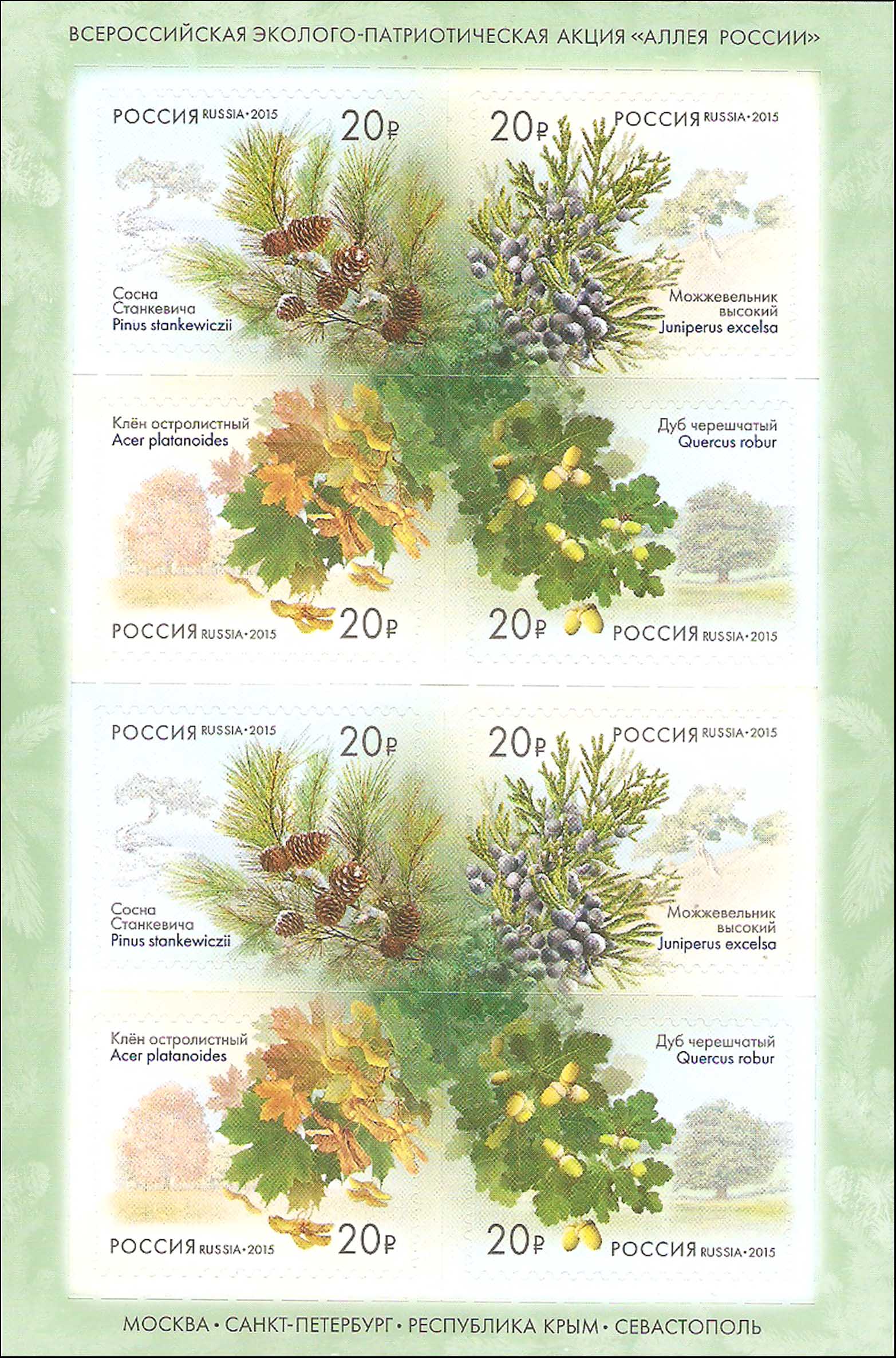 俄罗斯2015年植物—寒带亚寒带针叶林树木不干胶邮票小版张(大图展示)