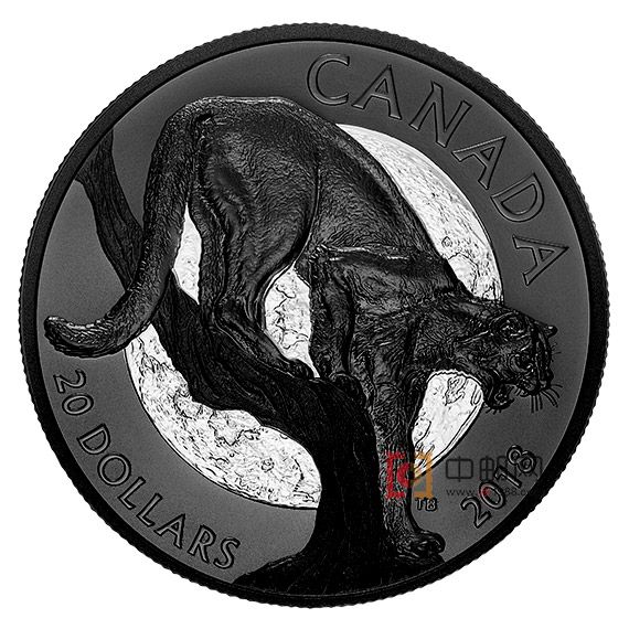 加拿大2018年夜行动物(4)美洲狮黑色镀铑精制
